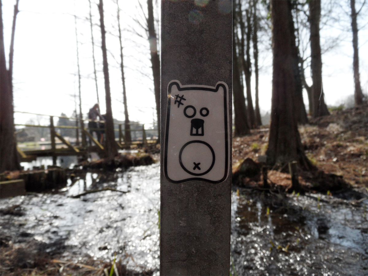 angry koala reflector pappla hashtag botanic