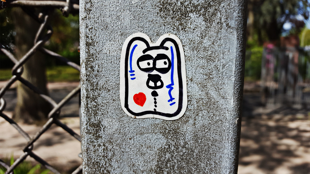 angry koala sticker wasted pappla park
